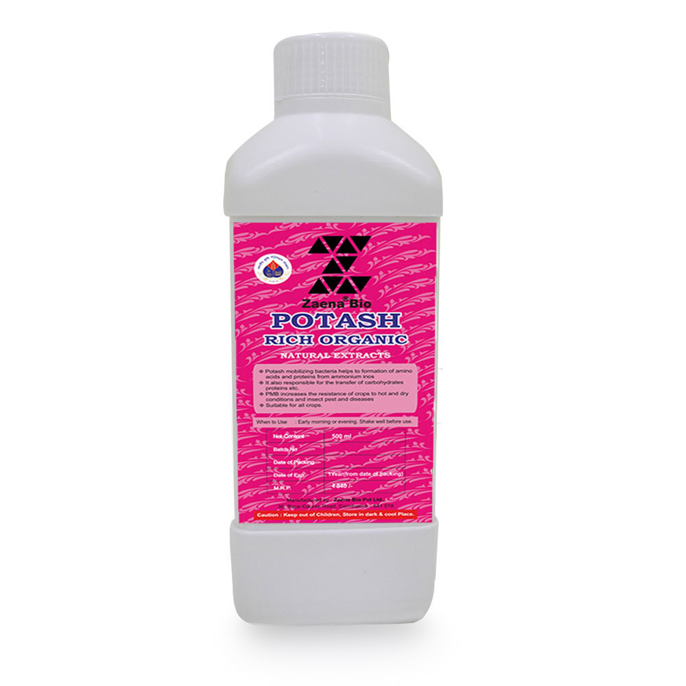 zaenabio